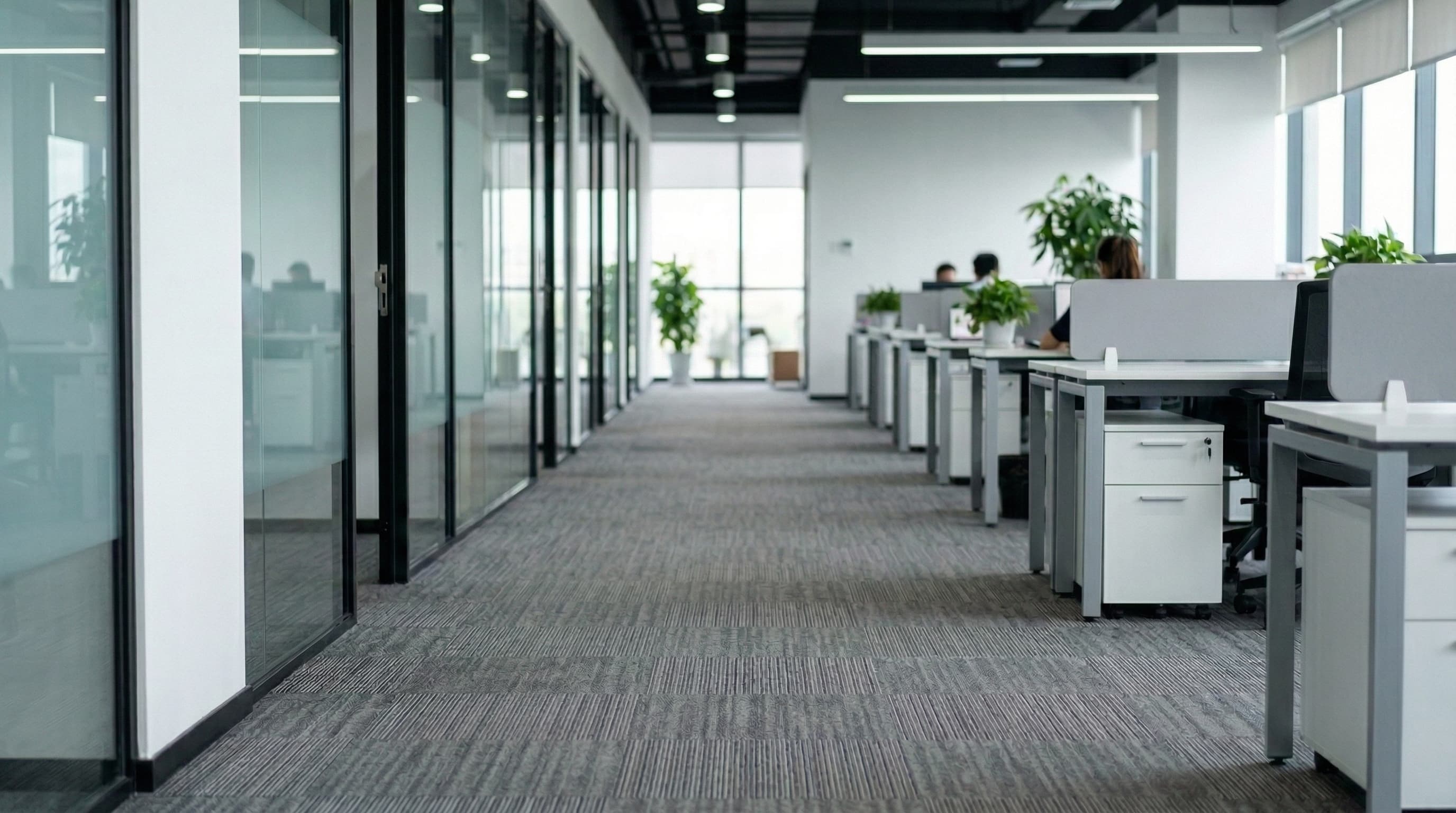 Limpieza profesional de alfombras para oficinas